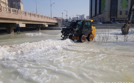 ХАЛИА ТОШИН ҮҮСДЭГ БАЙРШЛУУДАД ТОГТМОЛ ҮЗЛЭГ ХИЙЖ БАЙНА