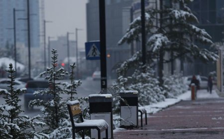 МАРГААШ НИЙСЛЭЛД ӨДӨРТӨӨ -15 ХЭМИЙН ХҮЙТЭН БАЙНА