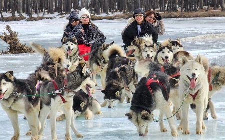МОНГОЛЫГ ЗОРИН ИРЭХ ЖУУЛЧДЫН ТОО I САРД ӨМНӨХ ОНЫ МӨН ҮЕЭС 1.7 ДАХИН НЭМЭГДЭВ