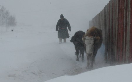 МАРГААШ БАРУУН АЙМГУУДЫН ЗАРИМ ГАЗРААР ЦАС ОРНО
