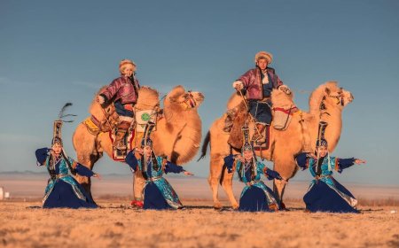 ТҮМЭН ТЭМЭЭНИЙ БАЯРЫГ 25 ДАХЬ УДААГАА ТЭМДЭГЛЭЖ БАЙНА