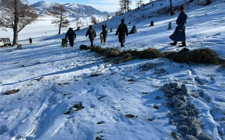 НЭН ХОВОР АМЬТАД ИДЭЭШДЭГ ГАЗАР НЭГ ТОНН ДАВС, 200 КГ ХУЖИР, 10 БООДОЛ ӨВС ТАВЬЖЭЭ