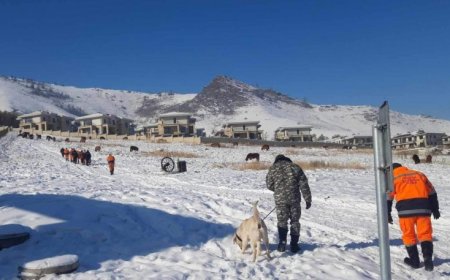 ХУДАЛ ДУУДЛАГААР 40 ГАРУЙ ХҮНТЭЙ ЭРЛИЙН БАГ 2 ӨДӨР УУЛАНД ЭРЭЛ ХИЙЖЭЭ