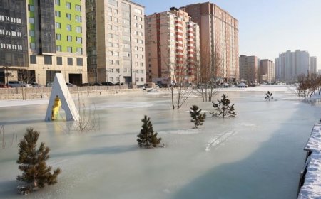 СЭРЭМЖЛҮҮЛЭГ: УЛААНБААТАР ХОТОД ХӨРСНИЙ УСНЫ ТҮВШИН ДЭЭШИЛЖ ХАЛИА ДОШИН ҮҮСЭХ ЭРСДЭЛТЭЙ БОЛЖЭЭ