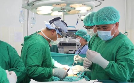 ХӨХ ТОМРУУЛАХ МЭС ЗАСАЛ ХИЙЖ ЭМД-ЫН САНГААС ЗАРДЛЫГ НЭХЭМЖИЛСЭН ЗӨРЧИЛ ИЛЭРЧЭЭ