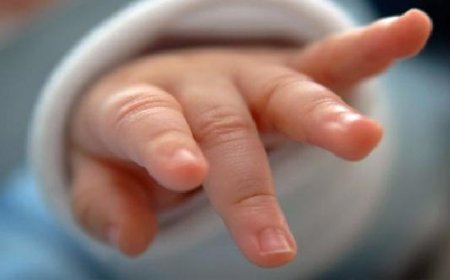 МОДОН ЛУУ ЖИЛИЙН ЦАГААН САРЫН ШИНИЙН 1, 2-НЫ ӨДРҮҮДЭД 198 НЯРАЙ МЭНДЭЛЖЭЭ