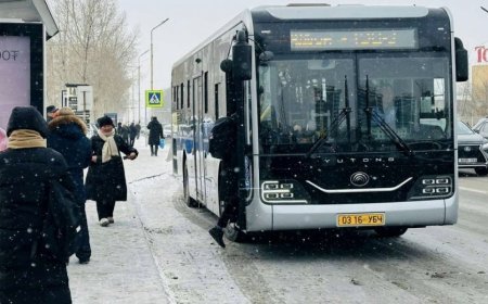 ТОМ ХҮН 1,000 ТӨГРӨГ ТӨЛӨӨД АВТОБУСААР ӨДӨРТ ДӨРВӨН УДАА ЗОРЧИНО