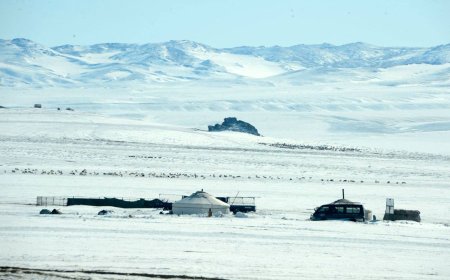 МОНГОЛ ОРНЫ НИЙТ НУТГИЙН 80 ГАРУЙ ХУВЬД ЦАСАН БҮРХҮҮЛТЭЙ БАЙНА