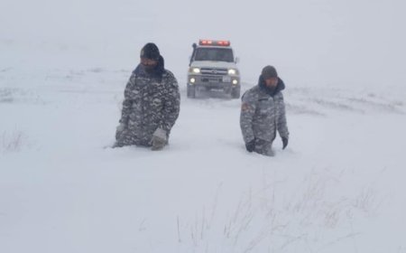 ОБЕГ: 47 ЗОРЧИГЧТОЙ, 14 АВТОМАШИН ЦАСАНД СУУСНЫГ ТАТАН ГАРГАЖЭЭ
