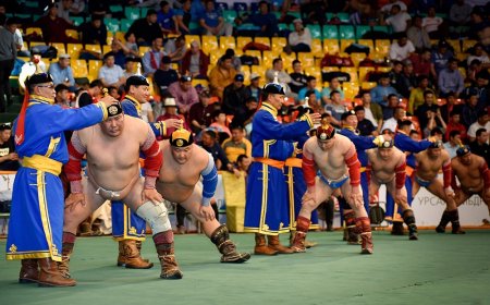 БААСАН ГАРАГТ 256 БӨХИЙН БАРИЛДААНТАЙ