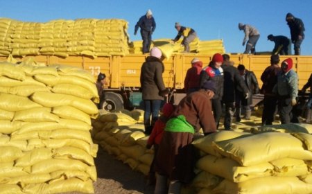 ЭНЭ ОНД 13.7 МЯНГАН ТОНН УЛААНБУУДАЙН ХИВЭГ, 1,1 МЯНГАН ТОНН МАЛЫН НЭМЭЛТ ТЭЖЭЭЛ ИМПОРТОЛЖЭЭ