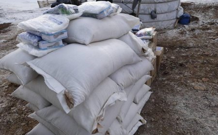 ГОВЬ-АЛТАЙ АЙМГИЙН 289 ӨРХӨД ТЭЖЭЭЛ, ХҮНСНИЙ БАГЦ, ЭРҮҮЛ МЭНДИЙН ТУСЛАМЖ ХҮРГЭЛЭЭ