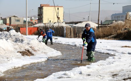 ХАЛИА, ТОШИН ҮҮССЭН ГАЗРУУДАД АЖИЛЛАЖ БАЙНА