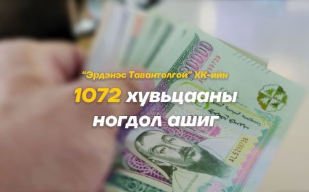 1072 ХУВЬЦААТАЙ ИРГЭД 256 МЯНГАН ТӨГРӨГИЙН НОГДОЛ АШИГ АВНА
