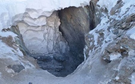 ХУУЛЬ БУСААР 35 КГ НОГООН ХАШ ЧУЛУУ ОЛБОРЛОСНЫГ ИЛРҮҮЛЖЭЭ.