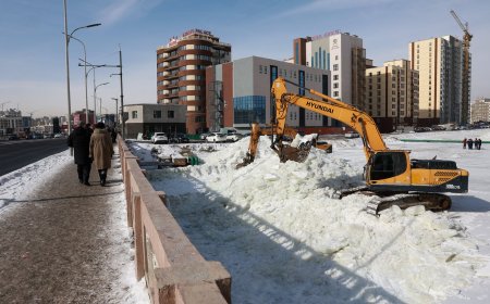 СЭЛБЭ ГОЛЫН 214 МЯНГАН ТОНН МӨСИЙГ ТЭЭВЭРЛЭЖ, ТУУЛ ГОЛД БУУЛГАЖЭЭ