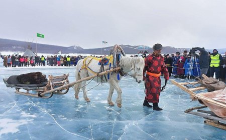 АЯЛАЛ ЖУУЛЧЛАЛЫН ОРЛОГООРОО ХӨВСГӨЛ АЙМАГ ТЭРГҮҮЛДЭГ БАЙНА