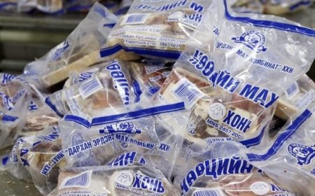 ЭНЭ САРЫН 11-НД НӨӨЦИЙН МАХ ХУДАЛДААНД ГАРНА