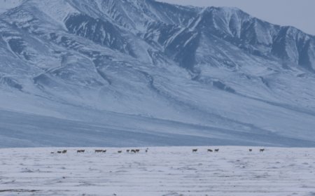 ЗЭРЛЭГ АМЬТДЫН ХОРОГДОЛ ИХ БАЙНА