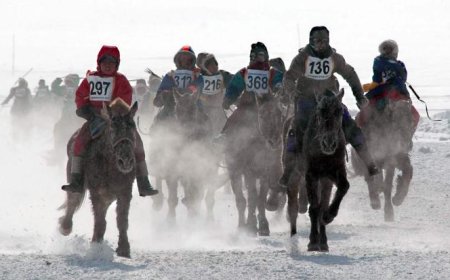 ЭНЭ ОНЫ 03 ДУГААР САРЫН 10-НЫ ӨДӨР ТӨВ АЙМГИЙН БАЯН СУМЫН НУТАГ ДЭВСГЭРТ ЗӨВШӨӨРӨЛГҮЙ ХУРДАН МОРЬДЫН УРАЛДААН ЗОХИОН БАЙГУУЛЖЭЭ