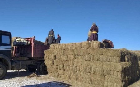 ӨВС, ТЭЖЭЭЛИЙН ҮНЭ ХАНШ