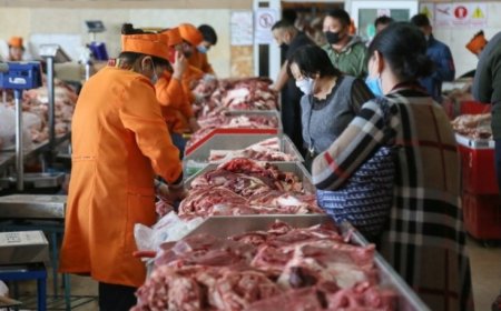 МАХНЫ ҮНЭ ХАНШ