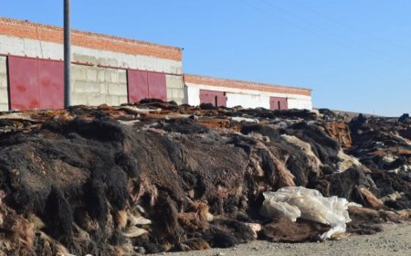 ЭМЭЭЛТ ЗАХЫН ТҮҮХИЙ ЭДИЙН ҮНЭ ХАНШ