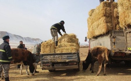 ӨВС, ТЭЖЭЭЛИЙН ҮНЭ ХАНШ