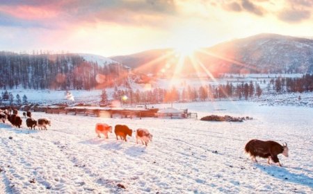 19-НӨӨС 22-НЫ ӨДРҮҮДЭД ИХЭНХ НУТГААР ДУЛААРНА