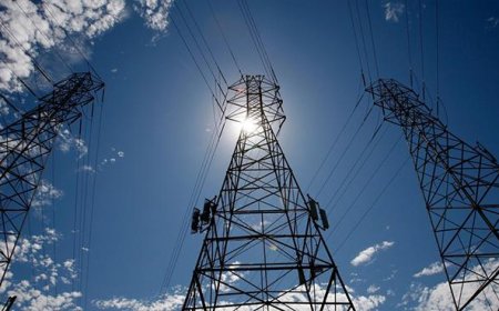 ӨНӨӨДӨР ДӨРВӨН ДҮҮРЭГТ ЦАХИЛГААН ХЯЗГААРЛАНА