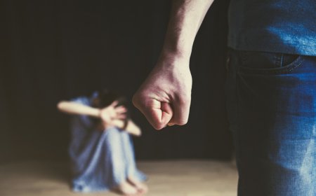 ЦЕГ: ӨНГӨРСӨН ШӨНӨ ХҮҮХЭД, ГЭР БҮЛИЙН ХҮЧИРХИЙЛЛИЙН 88 ДУУДЛАГА БҮРТГЭГДСЭН