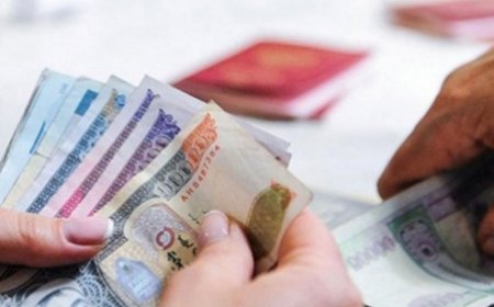 ХАЛАМЖИЙГ 50 МЯНГАН ТӨГРӨГӨӨР НЭМЭГДҮҮЛЭХЭЭР БОЛЛОО