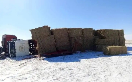 ЭВДЭРСЭН АЧААНЫ МАШИНААС 500 КГ ӨВС, 80 ЛИТР ТҮЛШИЙГ НЬ ХУЛГАЙЛСАН ЭТГЭЭДИЙГ ИЛРҮҮЛЖЭЭ