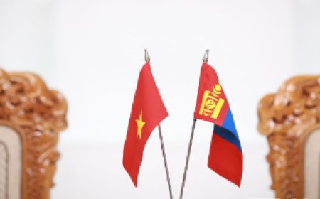 ВЬЕТНАМ УЛСАД  МОНГОЛ УЛСЫН 9 ИРГЭН ХОРИХ ЯЛ ЭДЭЛЖ БАЙГААГИЙН 8 НЬ ХУЛГАЙН ХЭРГЭЭР 8-10 ЖИЛИЙН ХОРИХ ЯЛААР ШИЙТГҮҮЛЖЭЭ