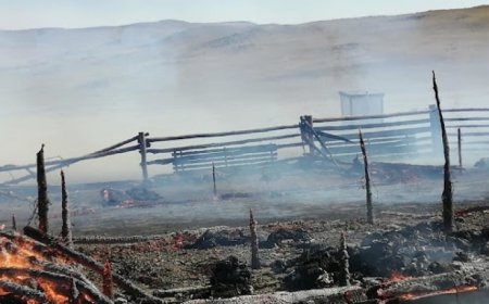 10 ГАРУЙ ТОНН ӨВС ШАТЖЭЭ