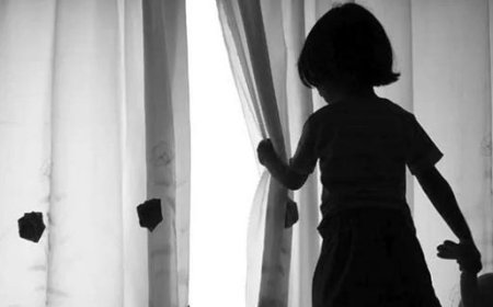 ЦЕГ: УРД ШӨНӨ ХҮҮХЭД, ГЭР БҮЛ ХҮЧИРХИЙЛЛИЙН 83 ДУУДЛАГА, МЭДЭЭЛЭЛ БҮРТГЭГДЖЭЭ