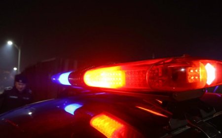 АЛГА БОЛСОН ӨСВӨР НАСНЫ ОХИДЫГ ОЛЖЭЭ