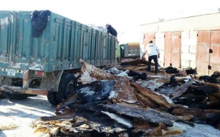 ЭМЭЭЛТ ЗАХЫН ТҮҮХИЙ ЭДИЙН ҮНЭ ХАНШ