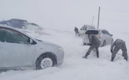ЦАСАН БОЛОН ШОРООН ШУУРГАНЫ АЮУЛТ ҮЗЭГДЛЭЭС СЭРЭМЖЛҮҮЛЖ БАЙНА