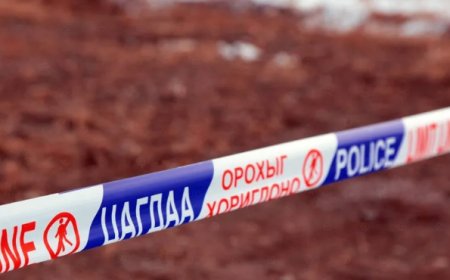 НОХОЙНЫ ҮҮРНЭЭС ОЛДСОН ЯС ГЭМТ ЭТГЭЭДИЙН ХАМТРАН АМЬДРАГЧИЙНХ БОЛОХ НЬ ТОГТООГДЛОО