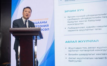 ТӨСВИЙН ХҮРЭЭНИЙ МЭДЭГДЛИЙН ТӨСЛИЙГ ОЛОН НИЙТЭЭР ХЭЛЭЛЦҮҮЛЛЭЭ