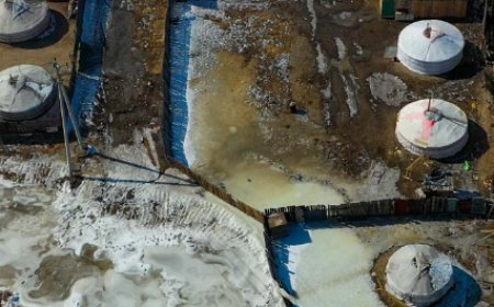 4470 ӨРХ ШАР УСНЫ ҮЕРТ ӨРТӨХ ЭРСДЭЛТЭЙ БАЙНА