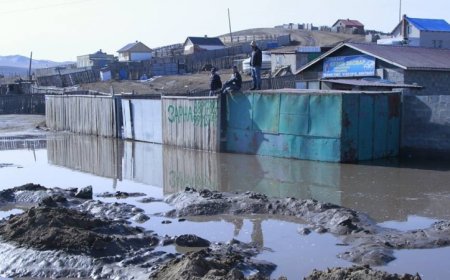 ШАР УСНЫ ҮЕРЭЭС БАКТЕРИЙН ХАЛДВАР АВАХ ЭРСДЭЛТЭЙ