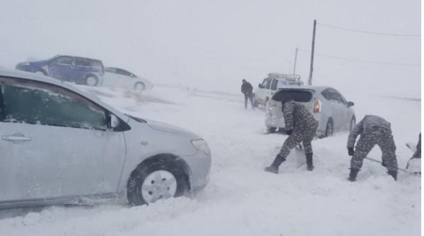 ЦАСАН БОЛОН ШОРООН ШУУРГАНЫ АЮУЛТ ҮЗЭГДЛЭЭС СЭРЭМЖЛҮҮЛЖ БАЙНА