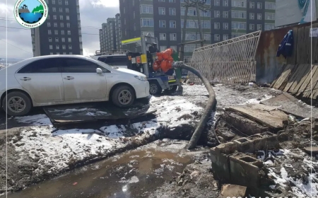 ДӨРВӨН ДҮҮРЭГТ ШАР УС СОРУУЛЖ БАЙНА