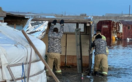 УСАНД АВТСАН 3 АЙЛ, ӨРХИЙН ЭД ХОГШЛЫГ НҮҮЛГЭН ШИЛЖҮҮЛЖЭЭ