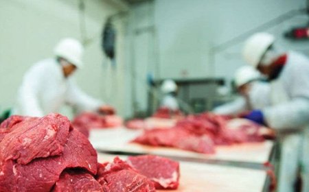 ҮХРИЙН ЦУЛ МАХ 15-16 МЯНГАН ТӨГРӨГИЙН ҮНЭТЭЙ БАЙНА