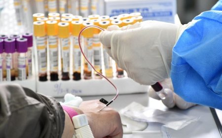 ЭРТ ИЛРҮҮЛГИЙН БАГЦАД БАГТСАН ҮЗЛЭГ, ОНОШИЛГОО