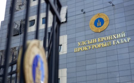 ХОНОГТ 40-50 СОГТУУ ЖОЛООЧ БҮРТГЭГДЭЖ БАЙНА