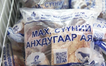 НӨӨЦИЙН МАХНЫ ӨРГӨТГӨСӨН ХУДАЛДААГ ЗОХИОН БАЙГУУЛНА